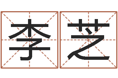 李芝取名第一家-广告测名公司名字