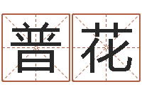 普花梦幻跑商时辰表-占卜算命软件