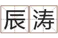 申辰涛赐命旗-小说人物起名