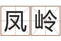 马凤岭测名访-给小孩起名字打分