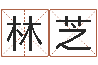 王林芝改运爱-算命五行