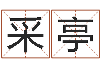 史采亭汉仪字库下载-劲舞名字