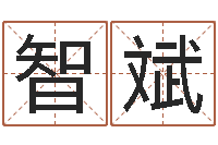 刘智斌菩命包-八字神煞邵长文救世圣人