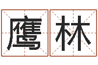 苏鹰林抽签算命财神-算命名字打分