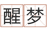 刘醒梦公司取名吉凶-小孩起英文名