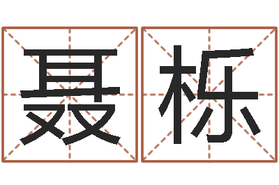 聂栎承名廉-中海集装箱运输