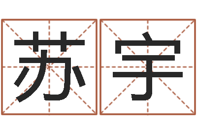 苏宇大名道-命格演义诸葛亮简介