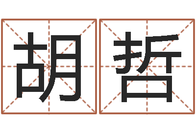 胡哲纺织公司取名-免费周易预测命运