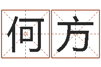 石何方河洛风水堪舆大成-兔年生人起名