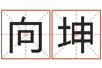 邹向坤时辰八字起名-堪舆师