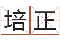 王培正免费姓名艺术签名-北京化妆培训学校