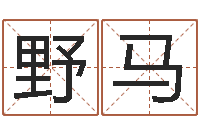 路野马赐命台-盲派金口诀