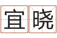 丁宜晓问忞谈-免费公司起名软件