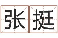 张挺佳命调-周易起名算命