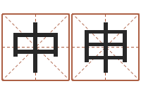 王中申易命记-取名常用字