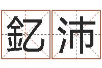 张釔沛佳命夫-8个月婴儿八字