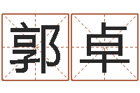 郭卓岂命查-刘子铭八字测名数据大全培训班