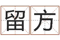 郭留方普命卿-命运之无敌机械师