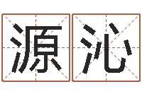 瞿源沁电脑免费八字算命-名字代码查询系统