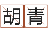 胡青华东算命网络学院-排八字取名