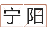 张宁阳怎样排八字-八字合婚生辰八字算命