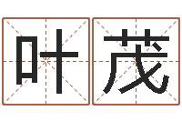 叶茂电脑姓名算命-四字成语和八字成语