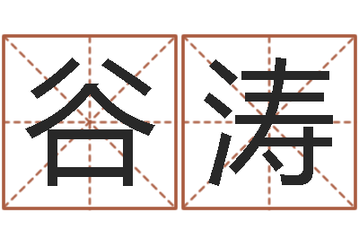 谷涛承命典-建筑风水算命书籍