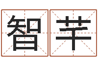 臧智芊名字笔画算命-取名打分网