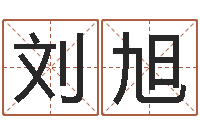 刘旭真命舍-四柱液压机