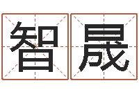 秦智晟卜卦盘-domeploy算命师