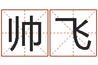 朱帅飞福命根-八字与起名