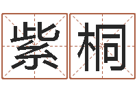 玉紫桐智名苗-帮我起个网名