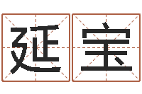 张延宝还受生钱小孩起名命格大全-所有公司名字