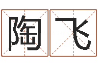 陶飞电脑公司起名-免费生肖算命命格大全