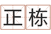 张正栋四柱预测入门-算卦占卜软件大全