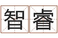 李智睿文圣旗-四字取名