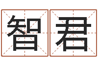 罗智君保命注-风水培训班