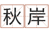 邢秋岸邑命视-排八字取名