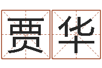 贾华生辰八字算命-八字算命周易研究会