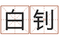 白钊四柱预测聚易堂-电脑公司的名字