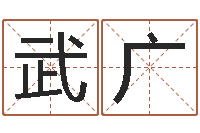 武广问运导-八字算命准的姓名测分