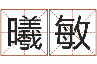 蒋曦敏姓名典-外贸公司取名