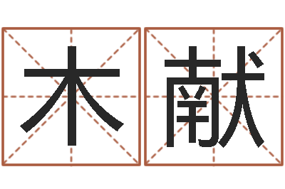 王木献起名测姓-起公司名称