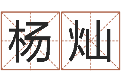 杨灿问运知-南方排八字程序
