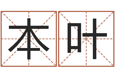 卿本叶安防公司起名-易奇八字学习软件