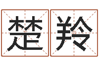 杨楚羚名运查-哈尔滨起名风水公司