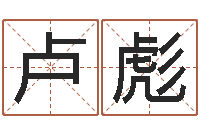 卢彪承运访-名字打分软件