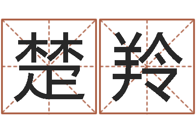 郑楚羚提运查-免费改名网