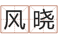 刘风晓母子爱情-预测事例