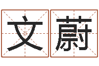 刘文蔚借命巧-新公司取名字